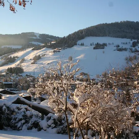 Chalet In Готель типу 