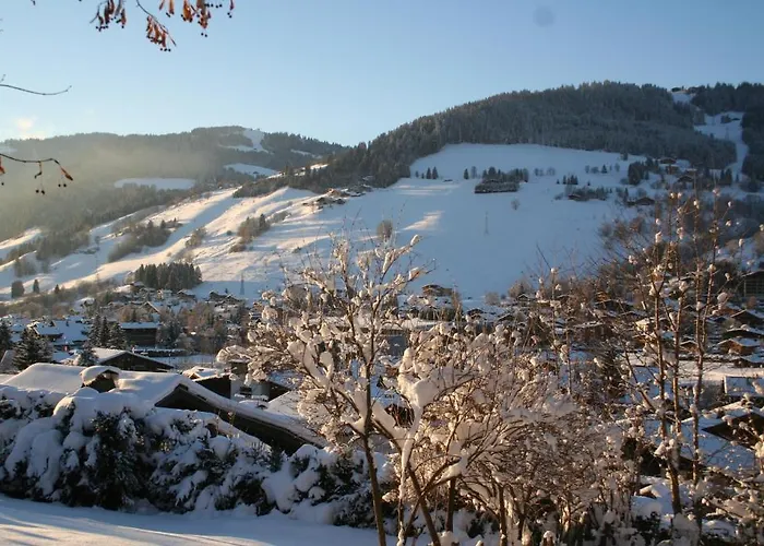 Chalet In Bed & Breakfast *
